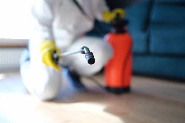 Best Commercial Mold Inspection  in Yankton, SD