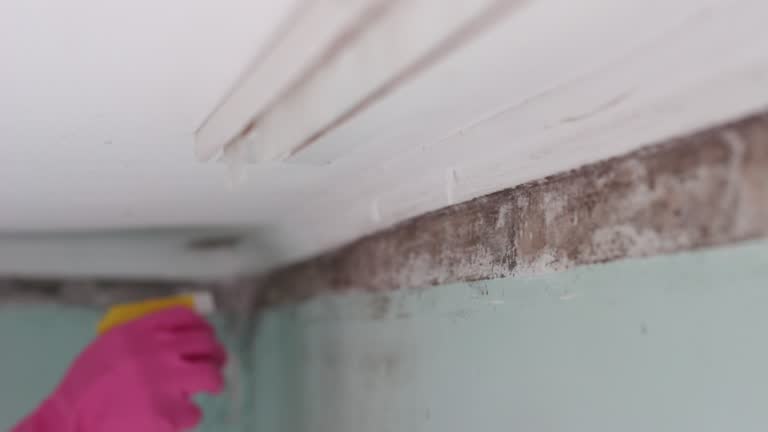 Best Indoor Air Quality Assessment  in Yankton, SD